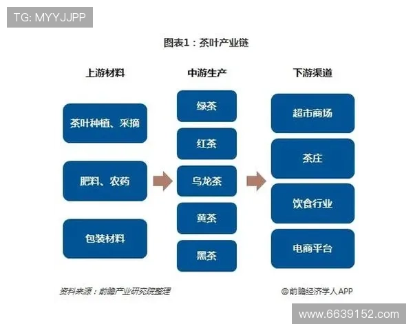 电视直播平台的多元化发展现状与未来趋势分析